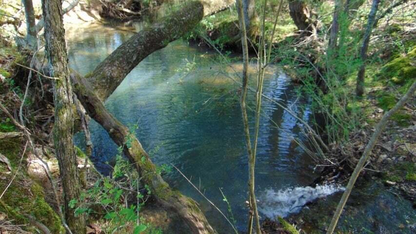 4 Euchee Road, Unit 4 Ten Mile, TN 37880 - Photo 7 of 23 4 Euchee creek 2
