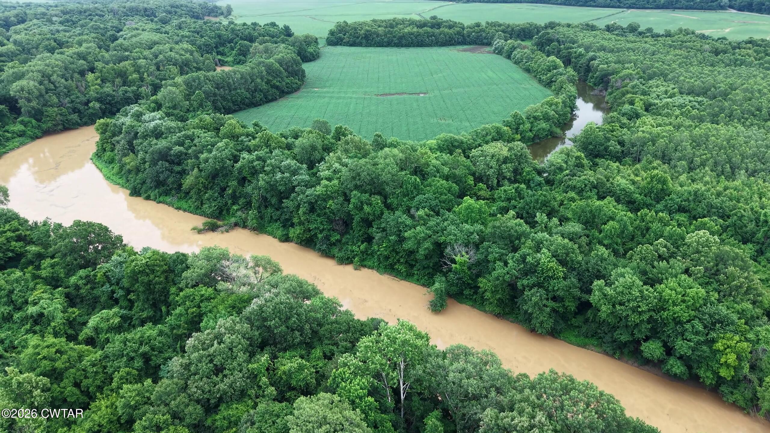 0 Miss Kelly Loop Finley, TN 38030 - Photo 5 of 14 vlcsnap-2026-06-14-18h20m33s109