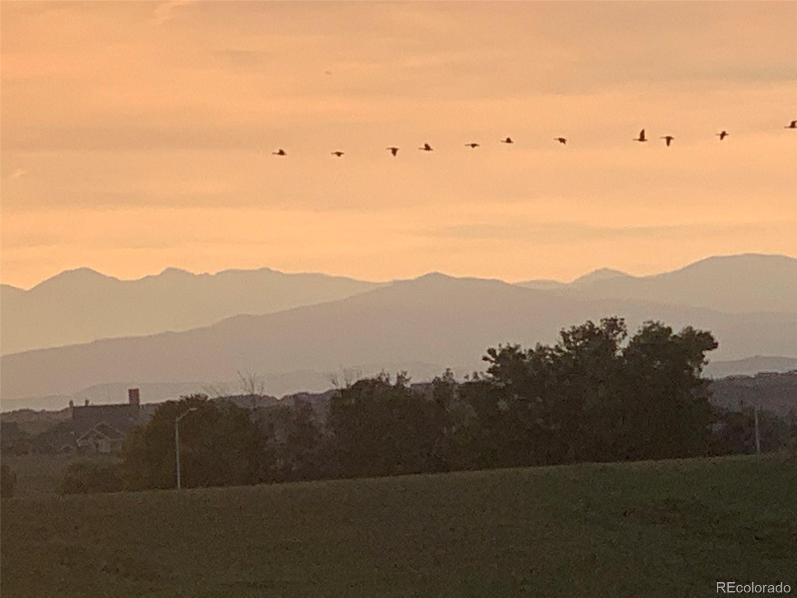 2147 Picture Point Drive Windsor, CO 80550 - Photo 8 of 39