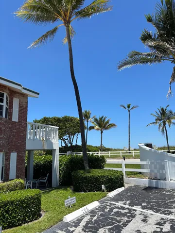 a view of a palm tree and a yard
