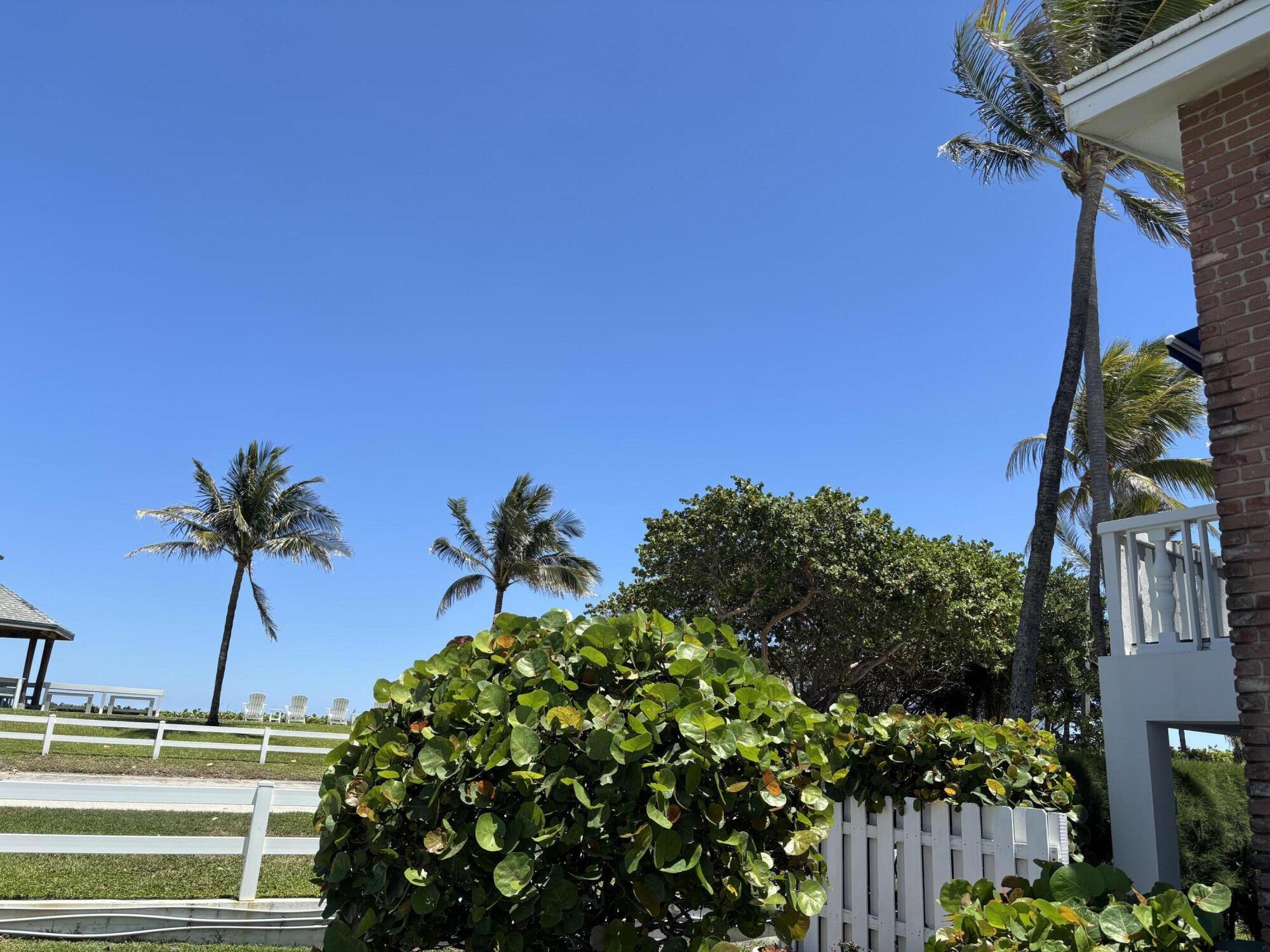 5505 North Ocean Boulevard, Unit 3204 Ocean Ridge, FL 33435 - Photo 18 of 33 a view of a palm tree and a yard