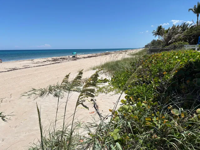 a view of a deck with a yard