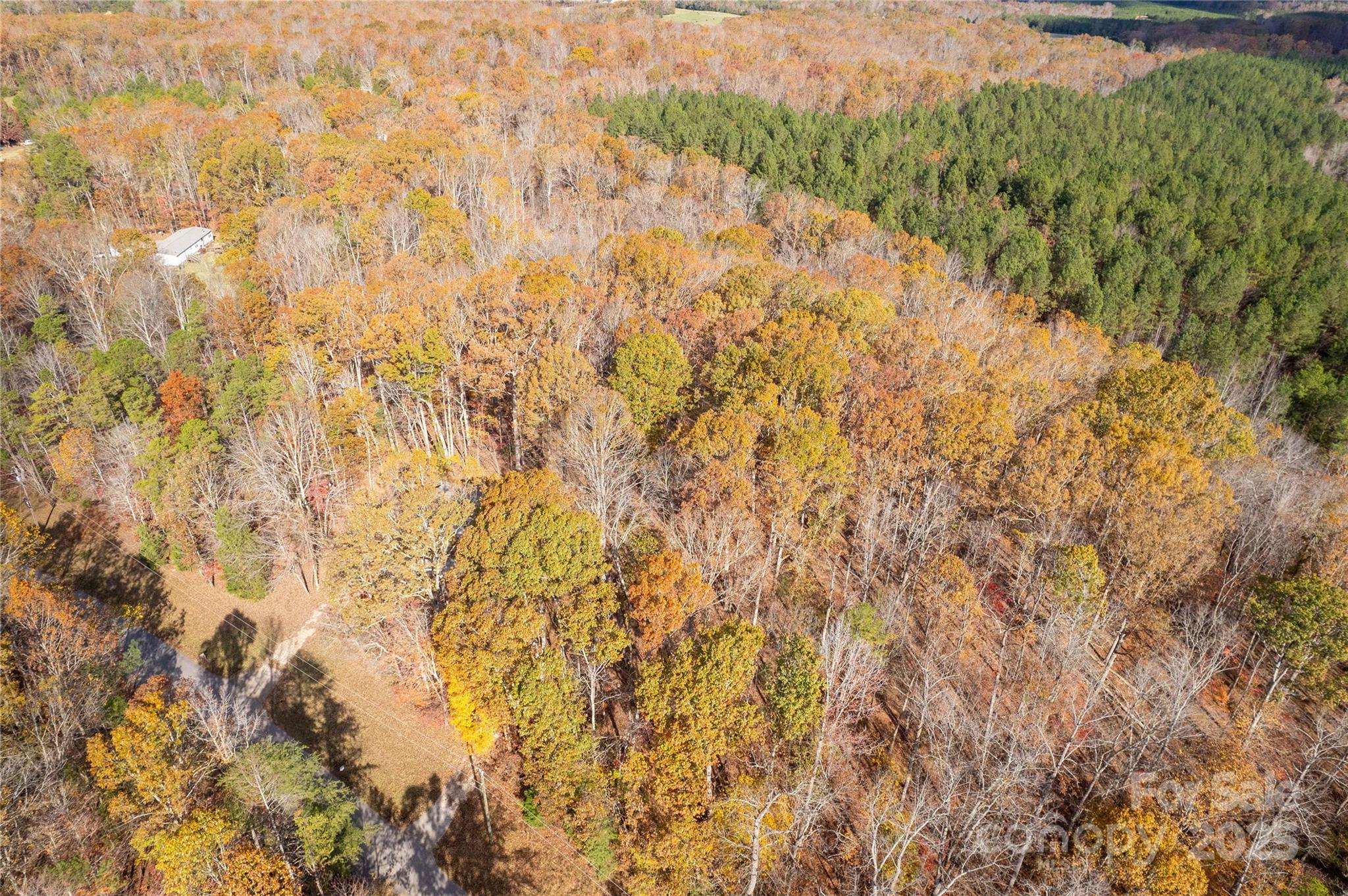 850 Mereva Road Smyrna, SC 29743 - Photo 34 of 36 Gallery Image 34