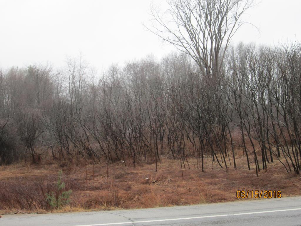0 Littleworth Road Dover, NH 03820 - Photo 3 of 3