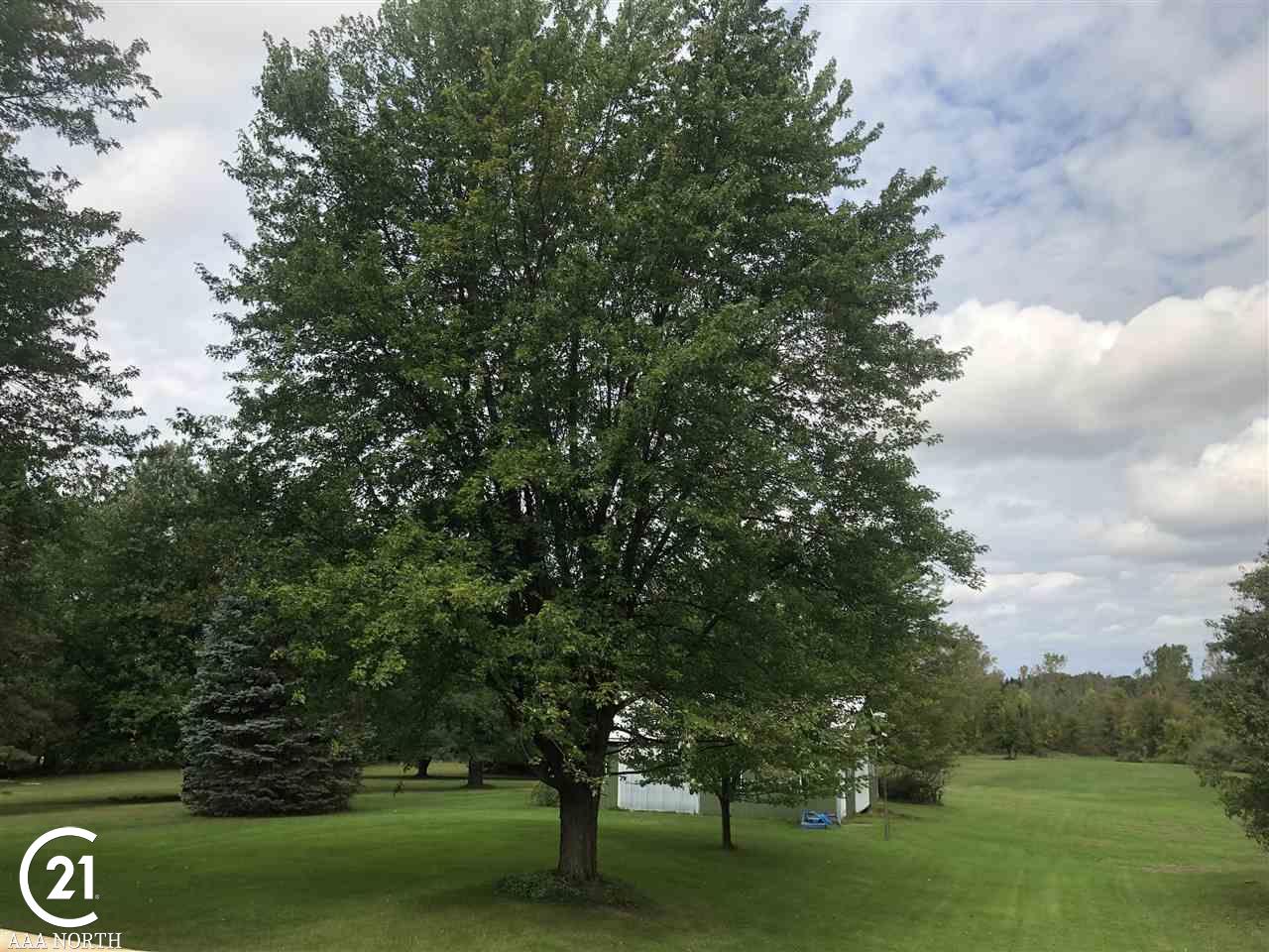 6447 Hough Road Almont, MI 48003 - Photo 40 of 51