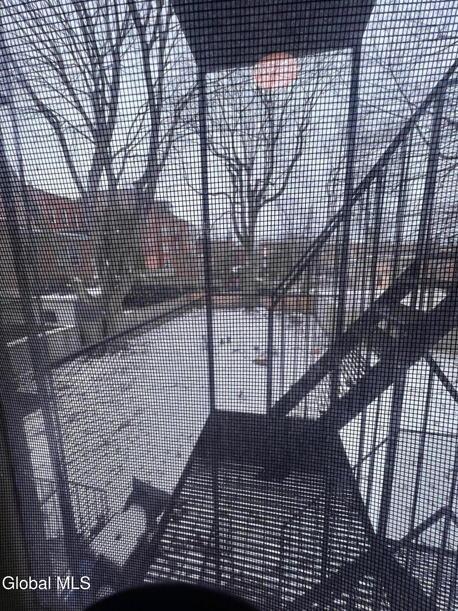 369 Hudson Avenue Albany, NY 12210 - Photo 10 of 10 IMG_8131