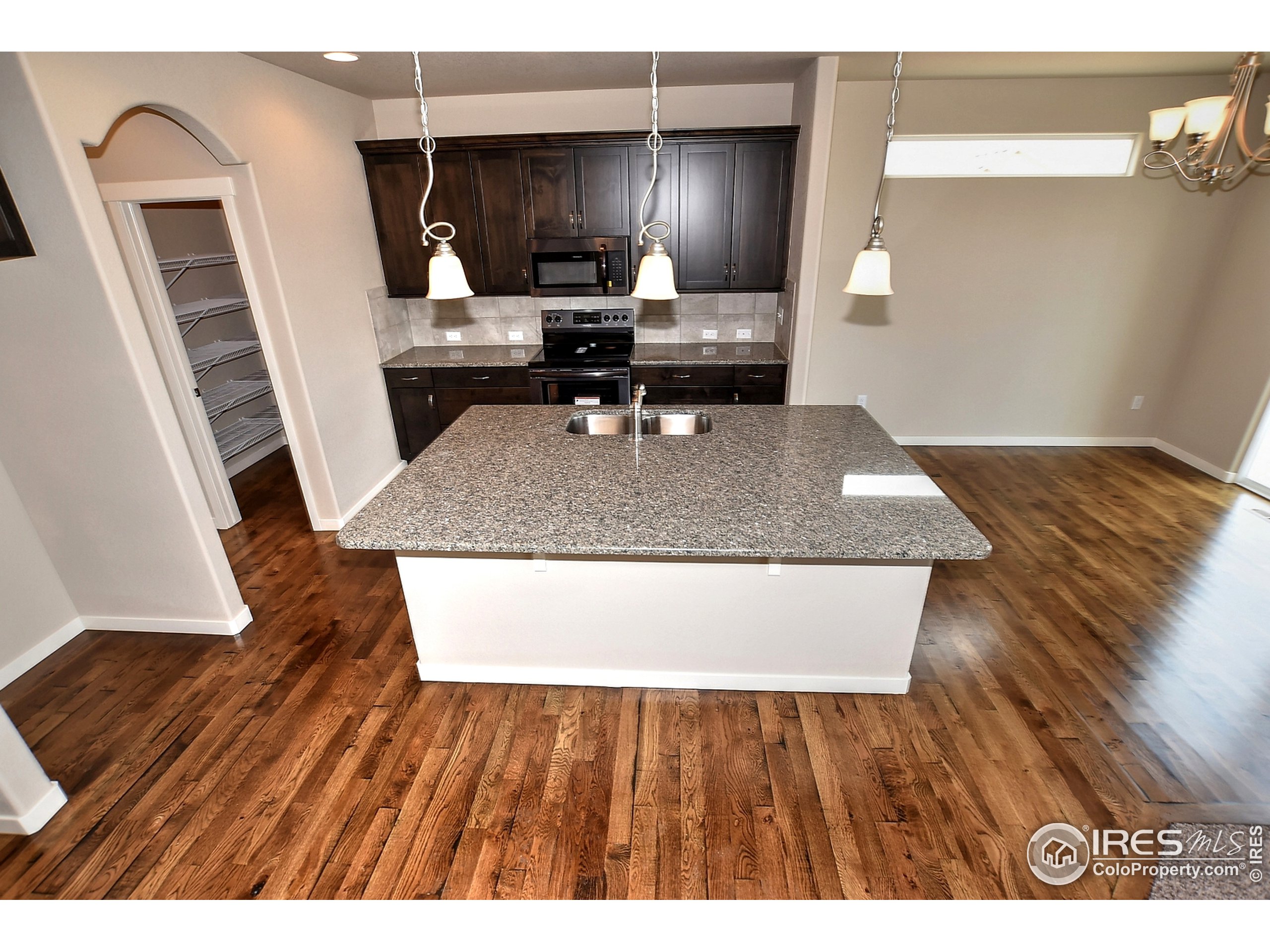 6630 Pebble Path Court Timnath, CO 80547 - Photo 7 of 18 a view of living room with a wooden floor and a fireplace