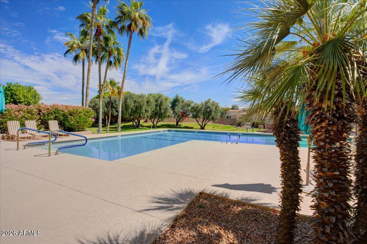 4906 East Wagoner Road Scottsdale, AZ 85254 - Photo 23 of 29 a view of swimming pool with a yard and palm trees