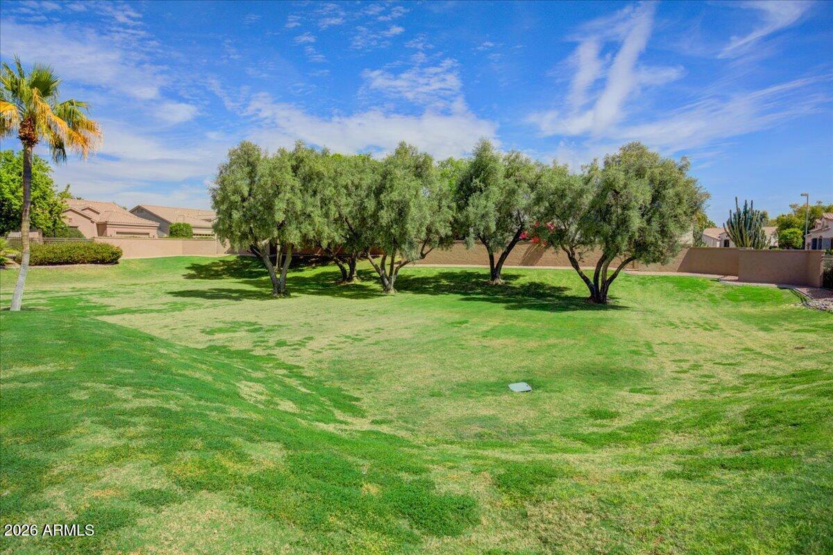 4906 East Wagoner Road Scottsdale, AZ 85254 - Photo 27 of 29 a view of a park with large trees
