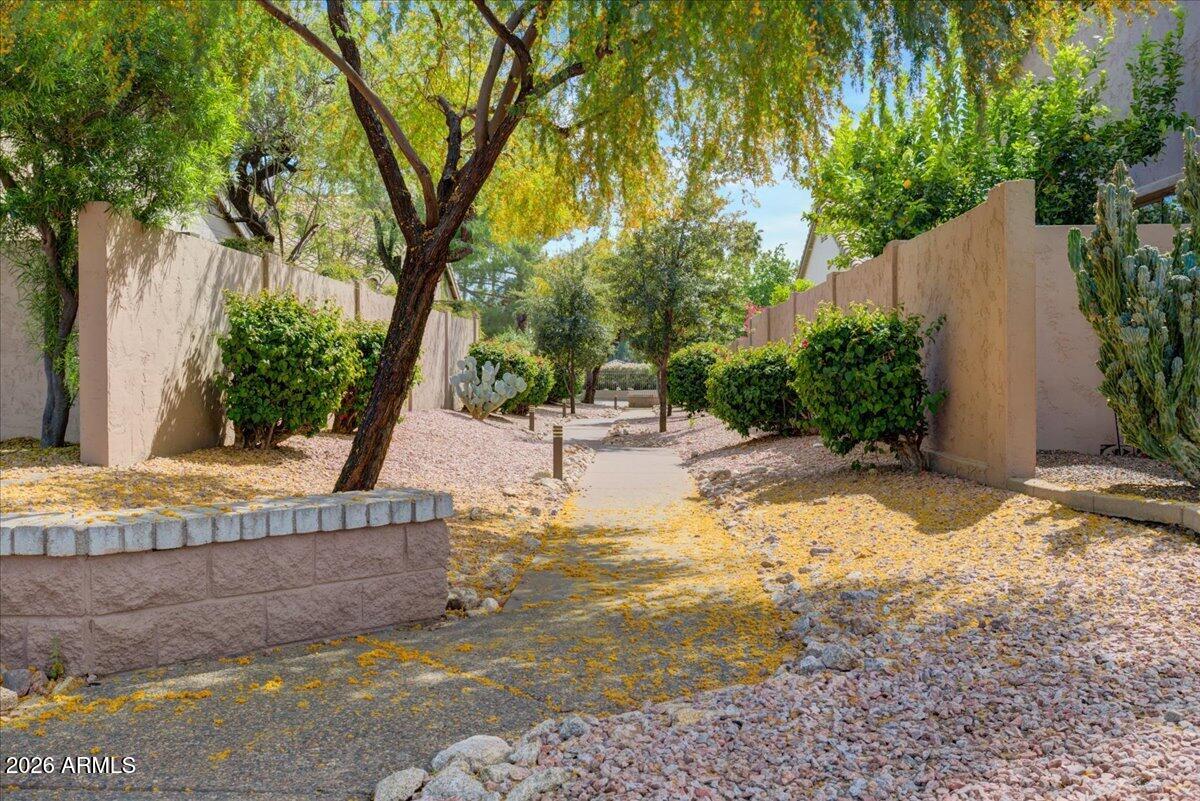 4906 East Wagoner Road Scottsdale, AZ 85254 - Photo 28 of 29 a view of a backyard with plants and tree
