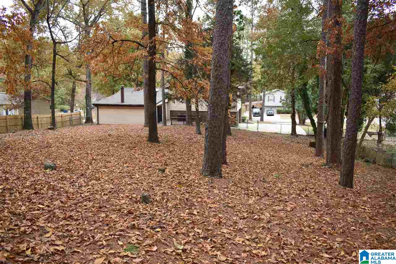 1336 3rd Court Southwest Alabaster, AL 35007 - Photo 31 of 31