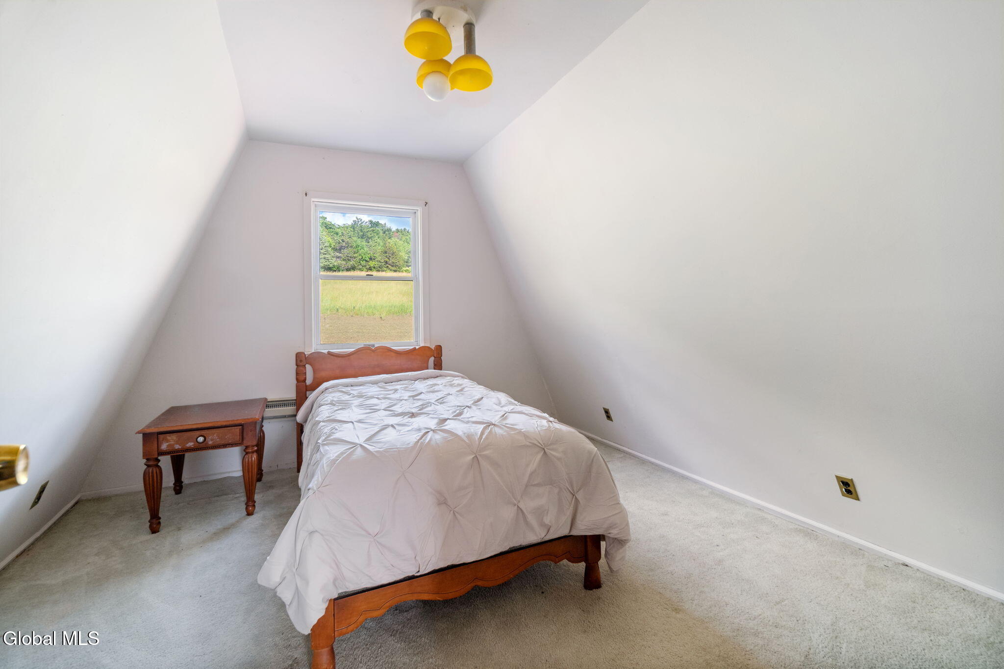 1008 Guinea Road Middleburgh, NY 12122 - Photo 25 of 51 27-1008GuineaRd_27
