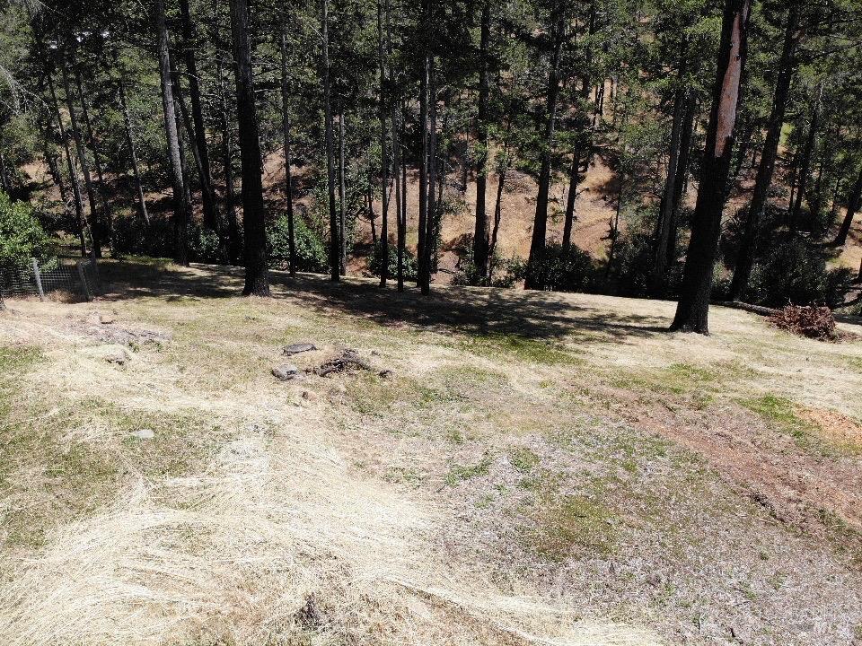 3829 Moss Hollow Court Santa Rosa, CA 95404 - Photo 13 of 19 a view of outdoor space with trees