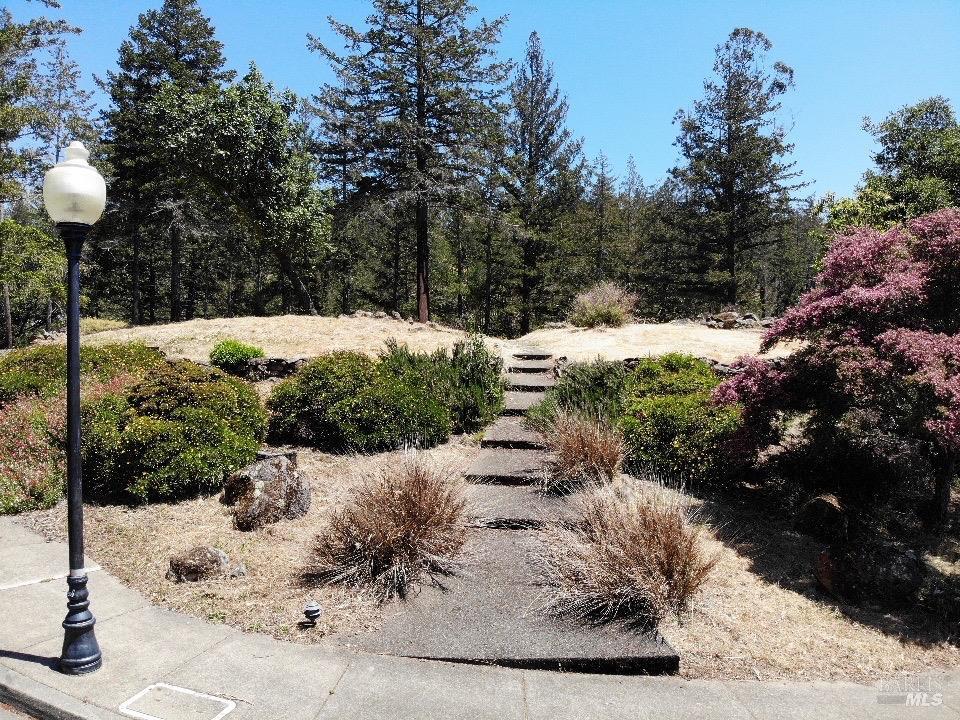 3829 Moss Hollow Court Santa Rosa, CA 95404 - Photo 3 of 19 a view of a park that has a tree