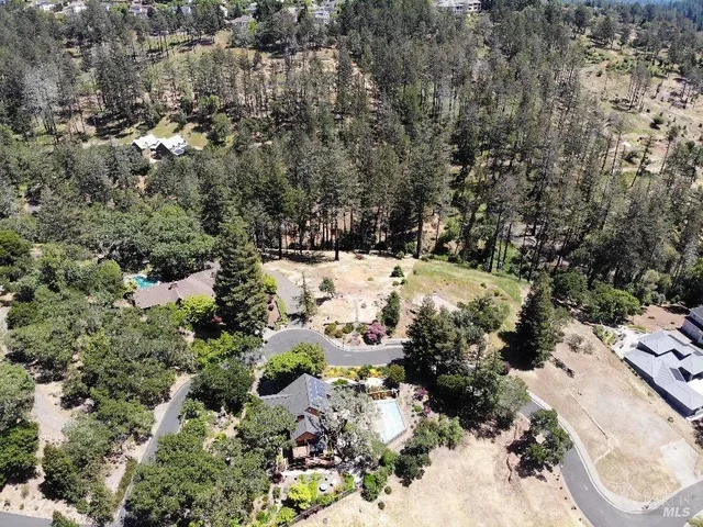 a view of a yard with plants