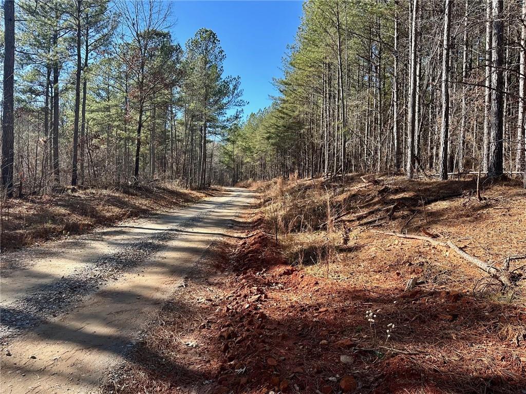 1107 Larmon Forks Road Dahlonega, GA 30533 - Photo 2 of 9