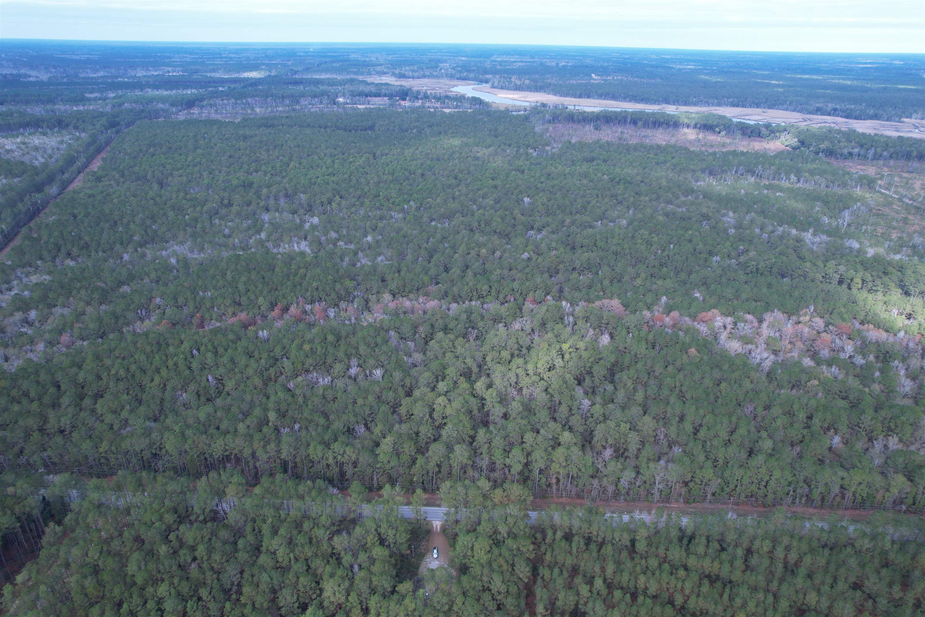 Tract B - Tbd Tract B - Tbd Pennyroyal Road Georgetown, SC 29440 - Photo 10 of 23