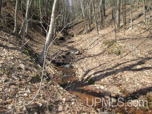 Tbd Golf Course Road Calumet, MI 49913 - Photo 11 of 21