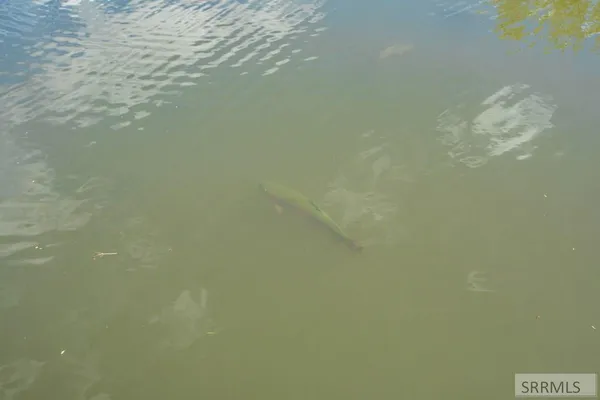 $2,800,000 | 9 Little 4th Of July Creek Road, North Fork, ID 83466