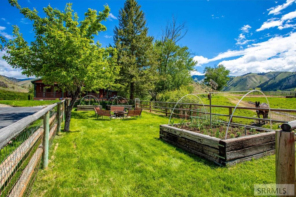 9 Little 4th Of July Creek Road North Fork, ID 83466 - Photo 64 of 83 Raised Garden Beds and Fruit Trees