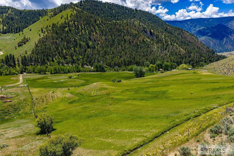 9 Little 4th Of July Creek Road North Fork, ID 83466 - Photo 68 of 83 Irrigated Pasture