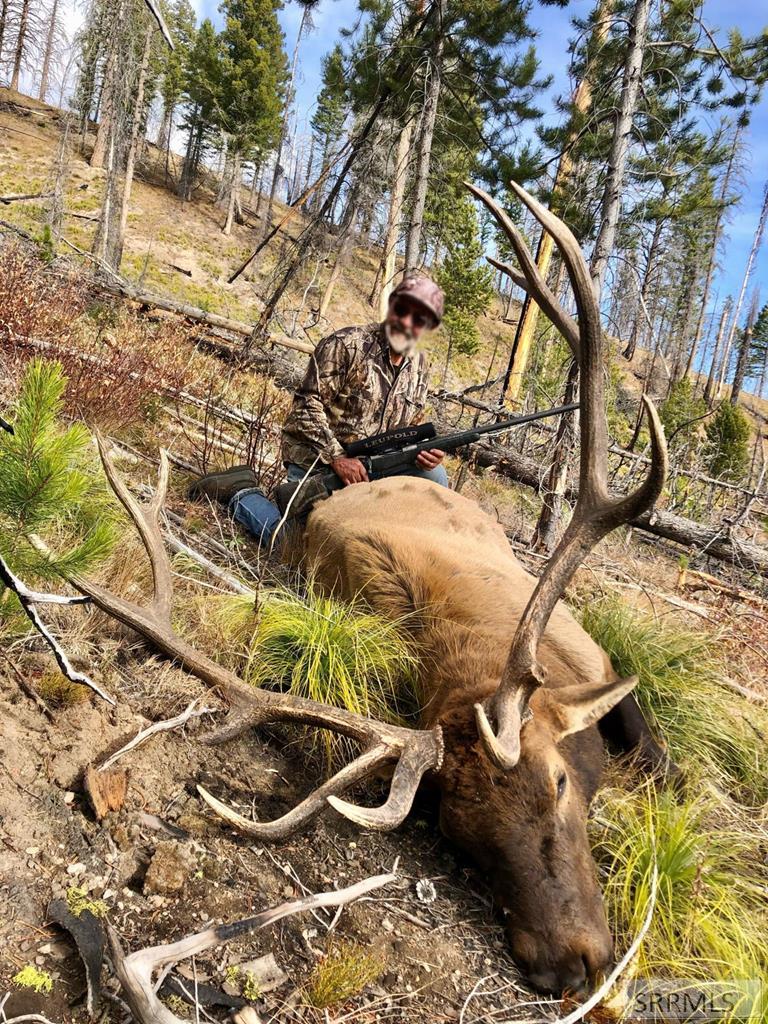 9 Little 4th Of July Creek Road North Fork, ID 83466 - Photo 71 of 83 Unit 21A Bull Elk
