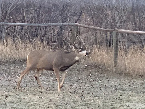 $2,800,000 | 9 Little 4th Of July Creek Road, North Fork, ID 83466