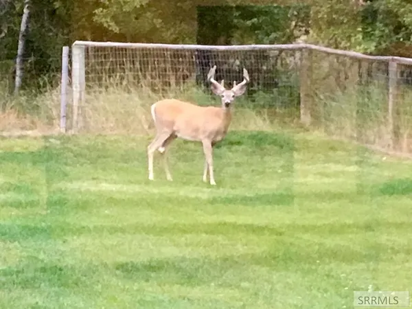 $2,800,000 | 9 Little 4th Of July Creek Road, North Fork, ID 83466