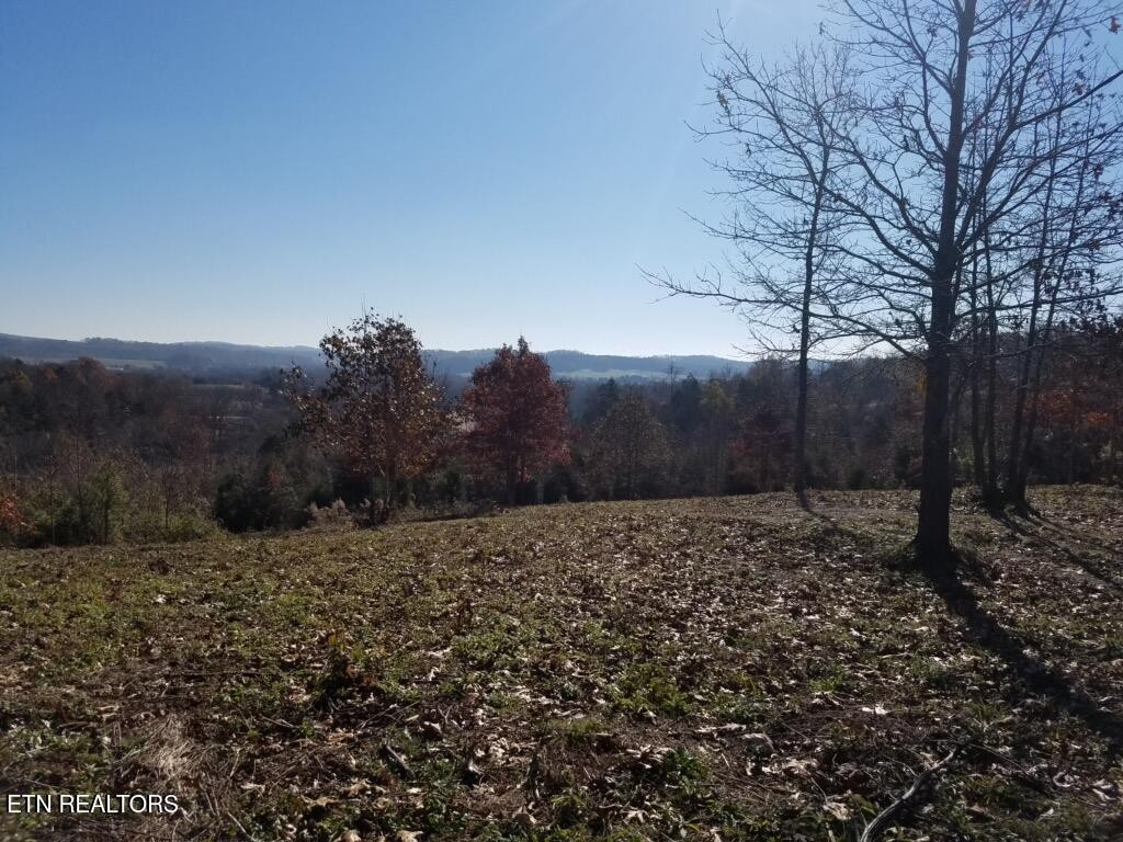 417 Womac Hollow Road Decatur, TN 37322 - Photo 8 of 29 Gallery Image 8