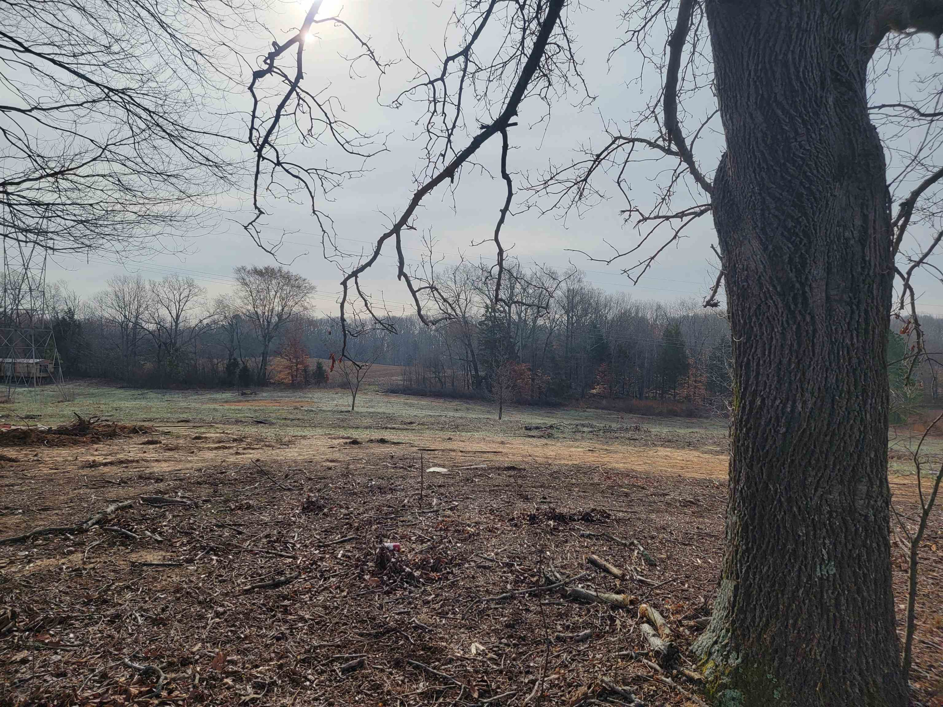 920 Tyler Road Lexington, TN 38351 - Photo 15 of 17 a view of a yard with a tree