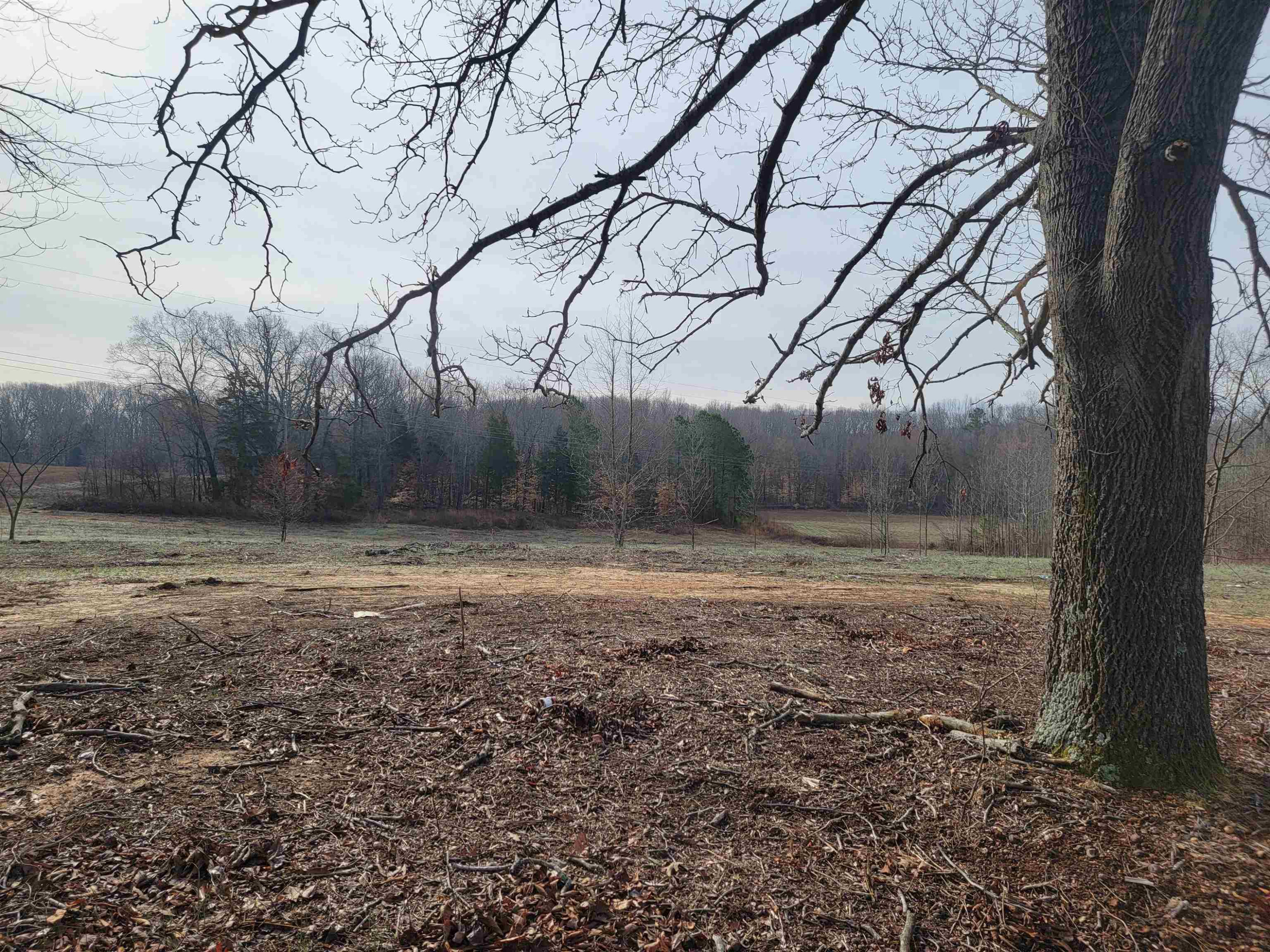 920 Tyler Road Lexington, TN 38351 - Photo 16 of 17 a backyard of a house