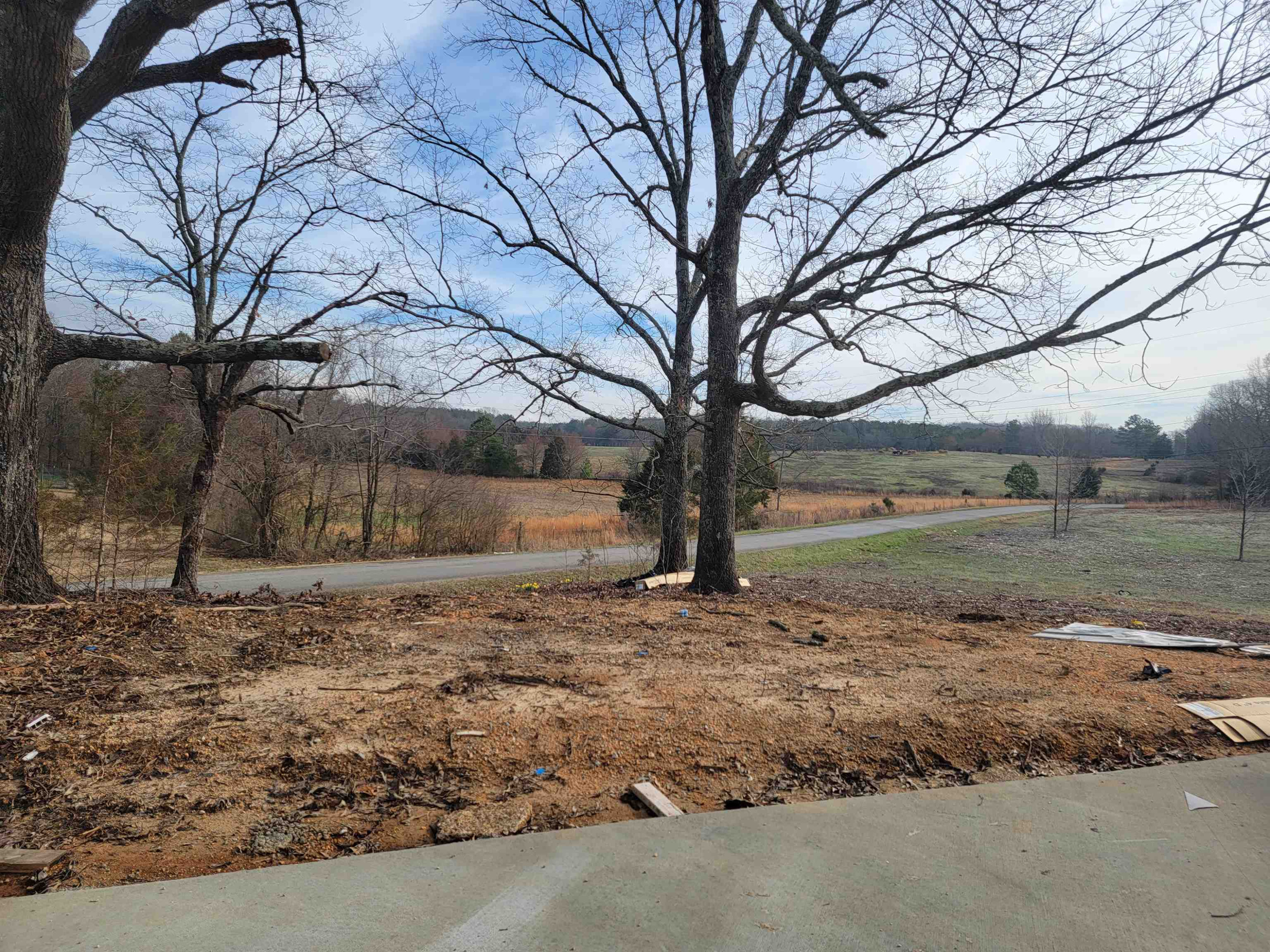 920 Tyler Road Lexington, TN 38351 - Photo 17 of 17 a view of a yard with a tree