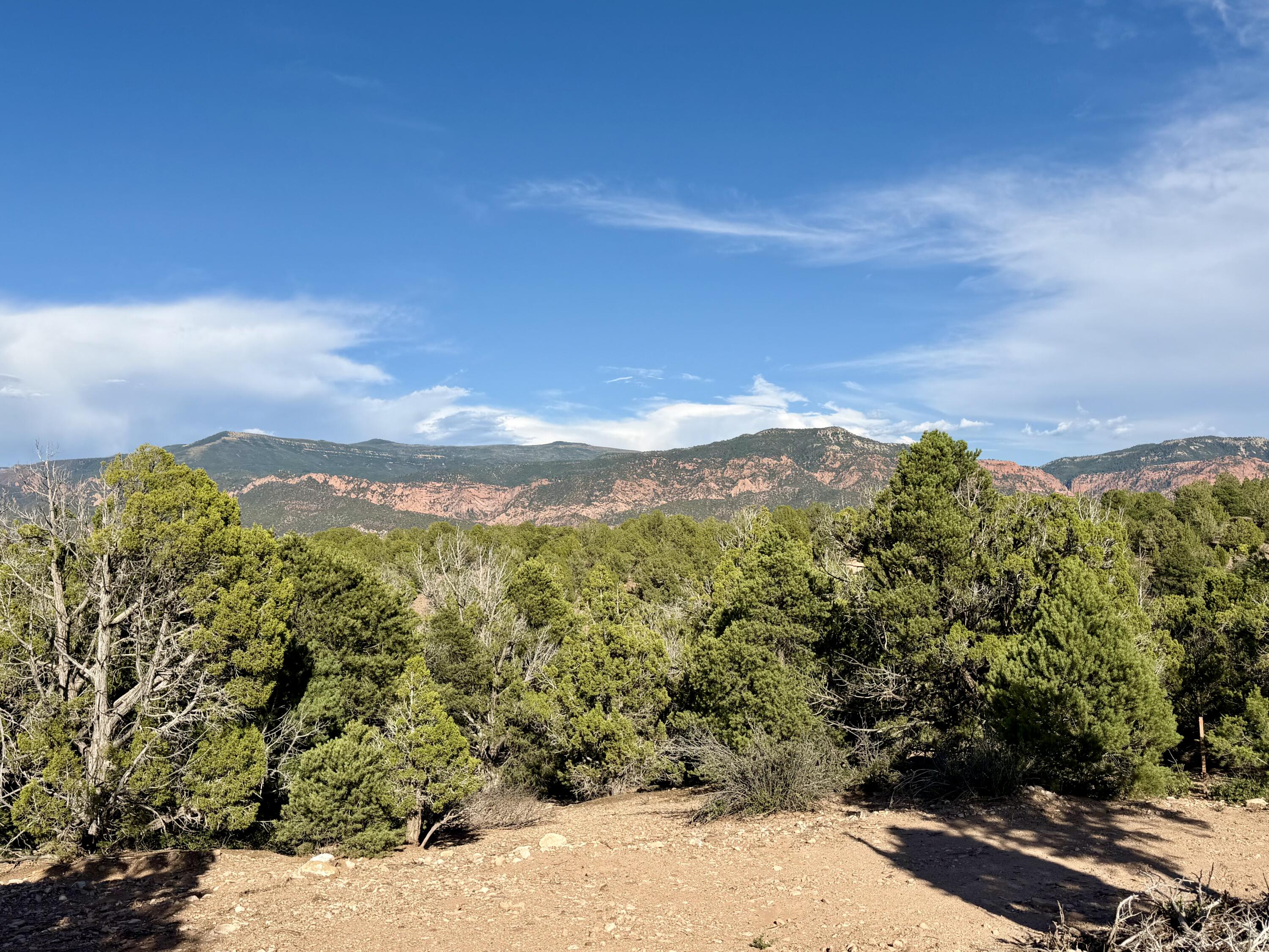 7180 Bareback Road Cedar City, UT 84720 - Photo 2 of 12 IMG_2829