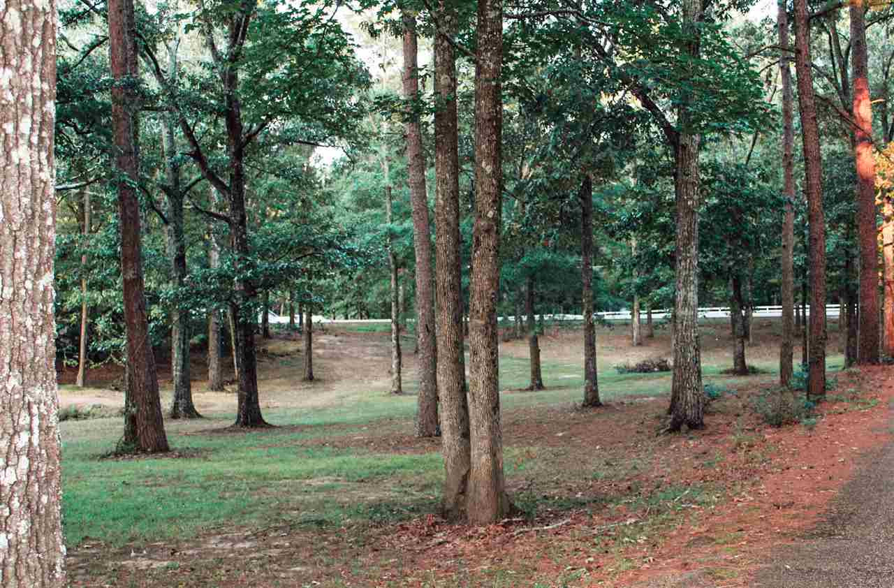 0 El Dorado Road Pearl, MS 39208 - Photo 2 of 7 Photo 2