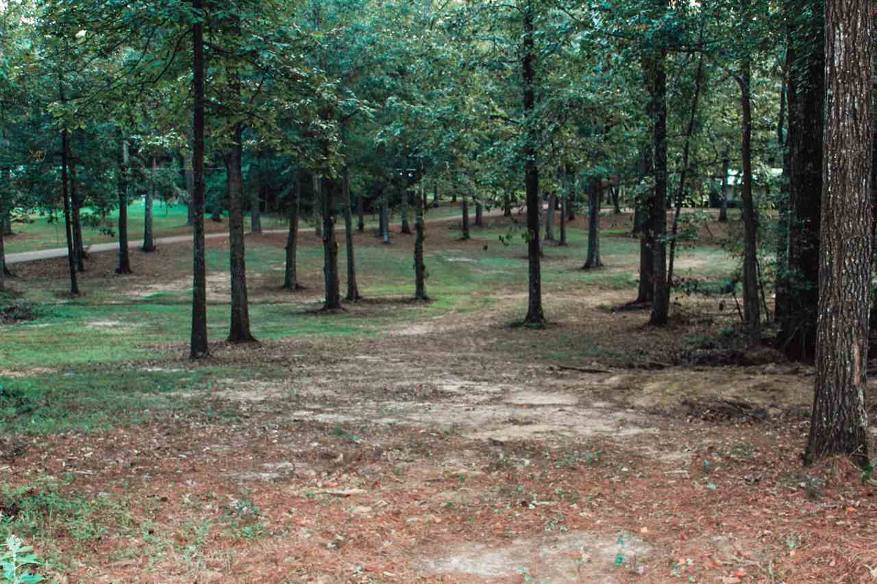 0 El Dorado Road Pearl, MS 39208 - Photo 3 of 7 Photo 3