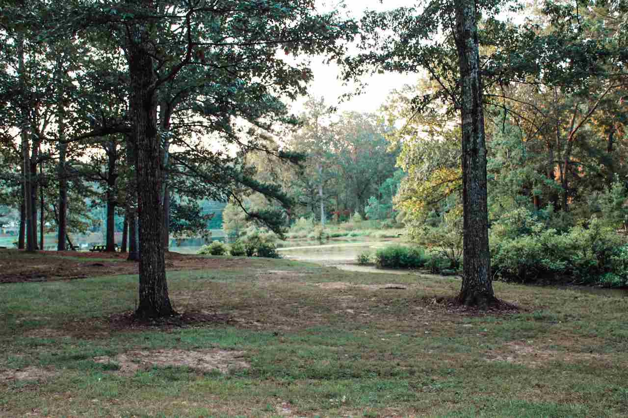 0 El Dorado Road Pearl, MS 39208 - Photo 4 of 7 Photo 4