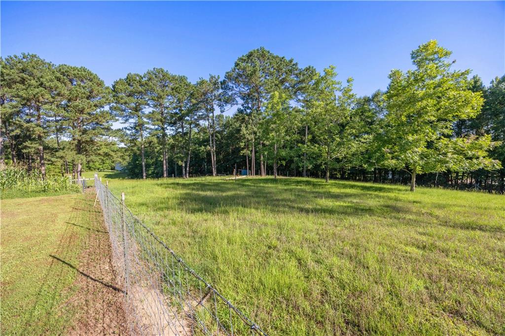 62 McCarthy Road Opelika, AL 36804 - Photo 50 of 74 Expansive green space featuring a wire fence, mature pine trees, and deciduous trees
