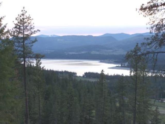 Lot 2 Silver Queen Road Kettle Falls, WA 99141 - Photo 1 of 3