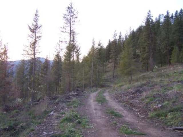 Lot 2 Silver Queen Road Kettle Falls, WA 99141 - Photo 2 of 3