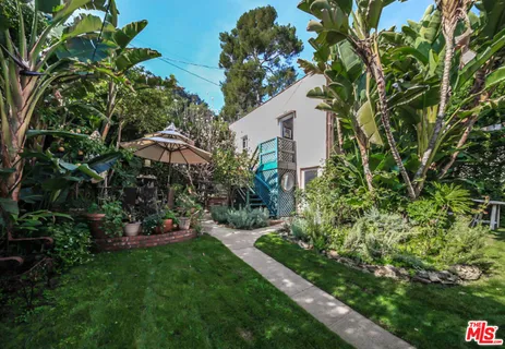 a view of a garden with plants