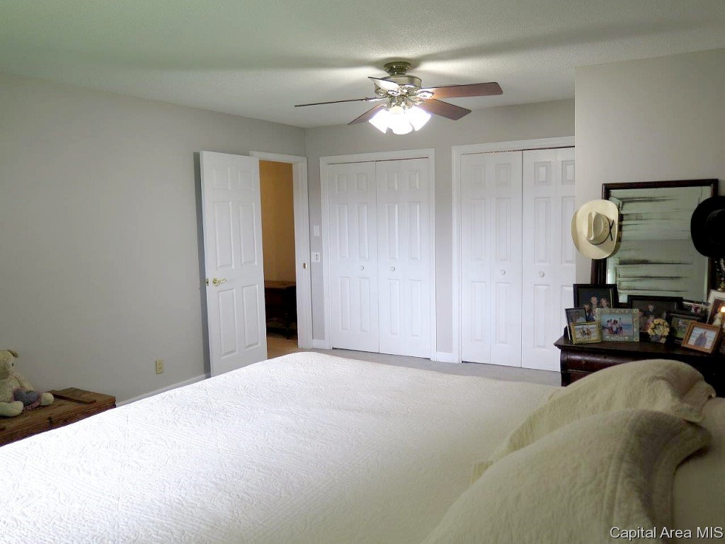 7750 North Pawnee Road Pawnee, IL 62558 - Photo 26 of 36