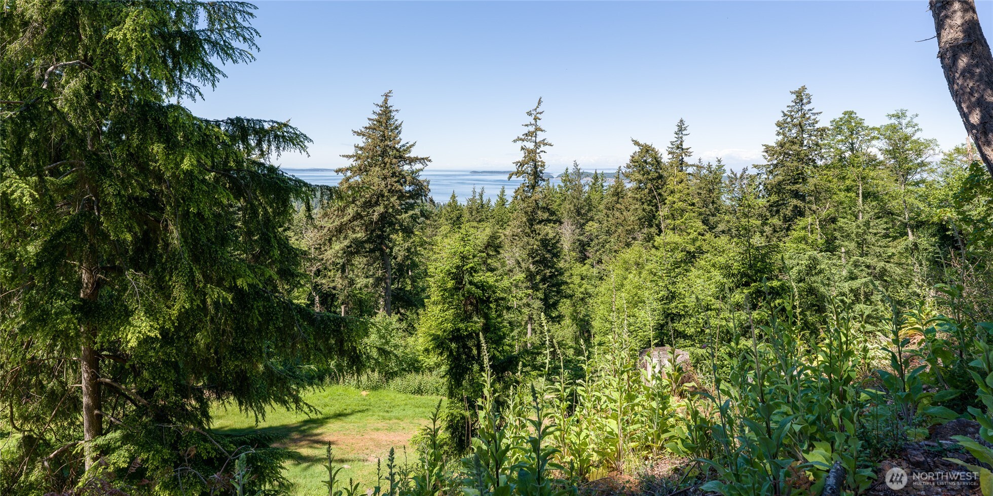 540 Wright Road Orcas Island, WA 98245 - Photo 39 of 40