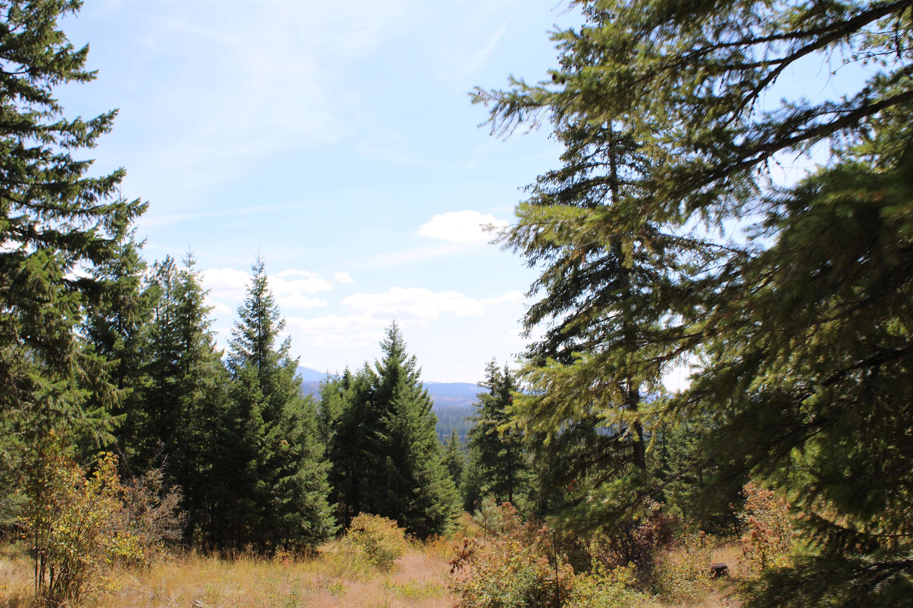 Xxx Ellery Ranch Road Elk, WA 99009 - Photo 6 of 16 Gallery Image 6