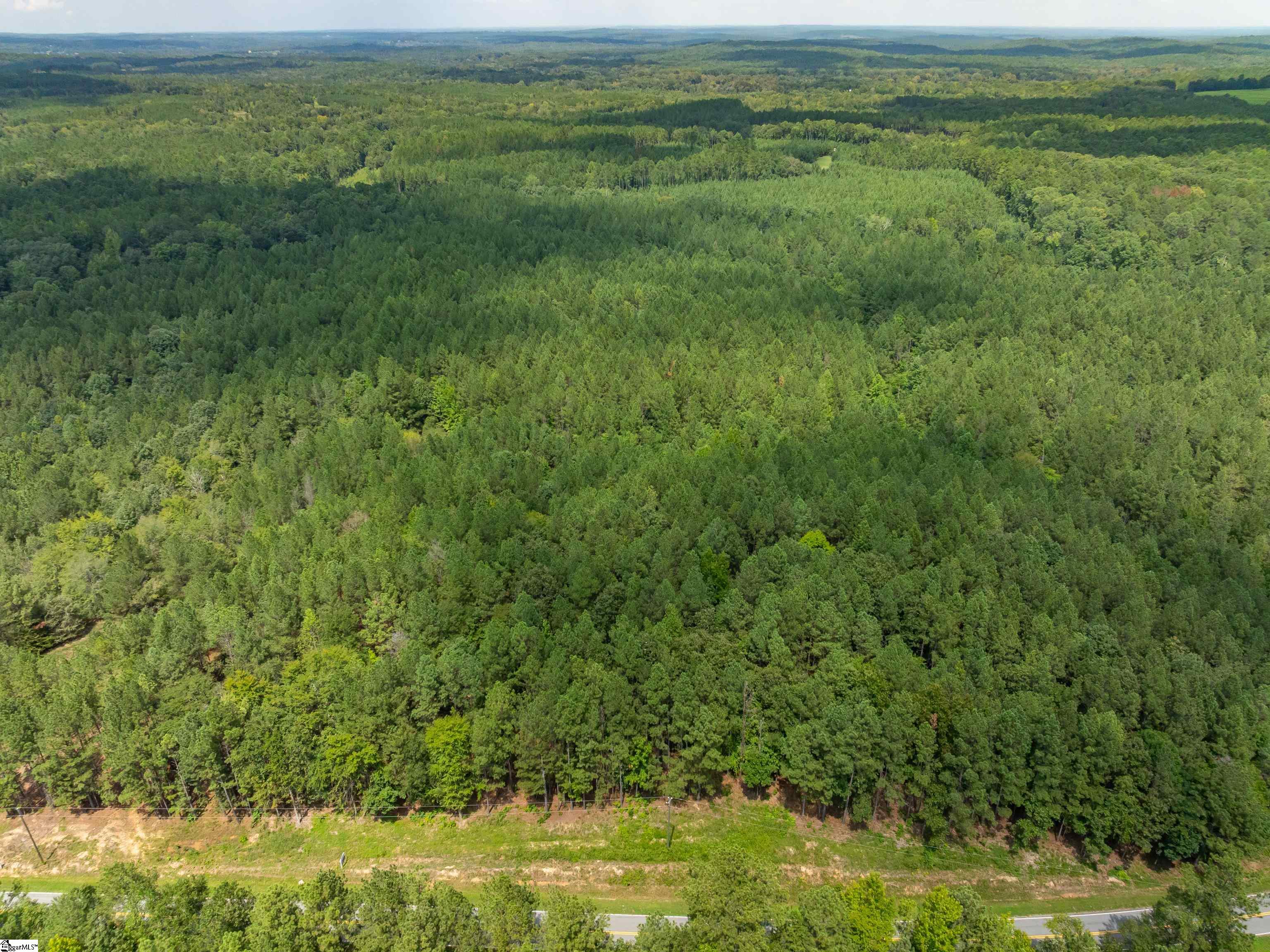 1 Neal Shoals Road Union, SC 29379 - Photo 20 of 43