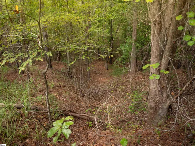 $40,000 | 1 Neal Shoals Road, Union, SC 29379