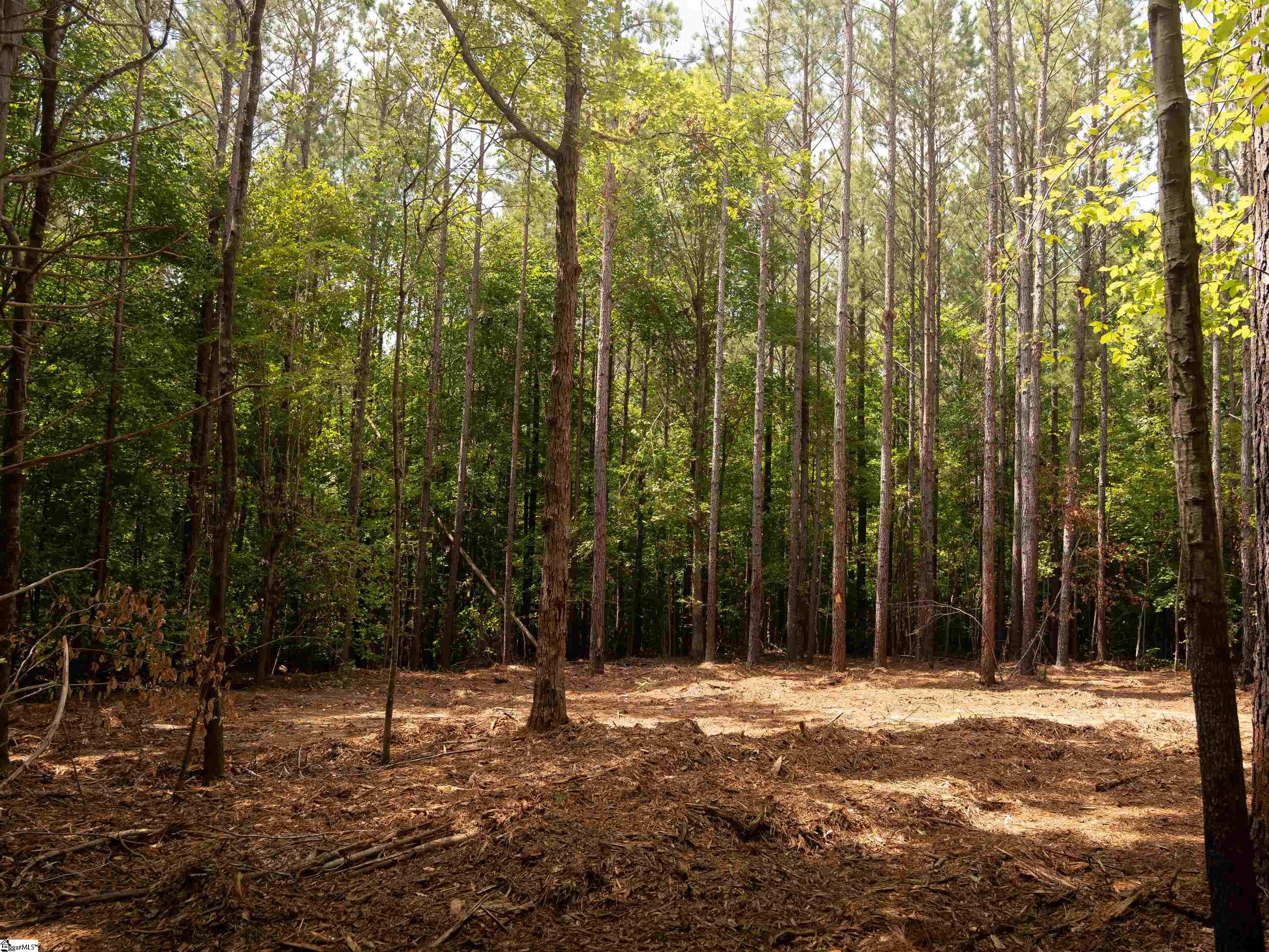 1 Neal Shoals Road Union, SC 29379 - Photo 38 of 43