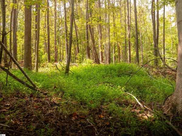 $40,000 | 1 Neal Shoals Road, Union, SC 29379