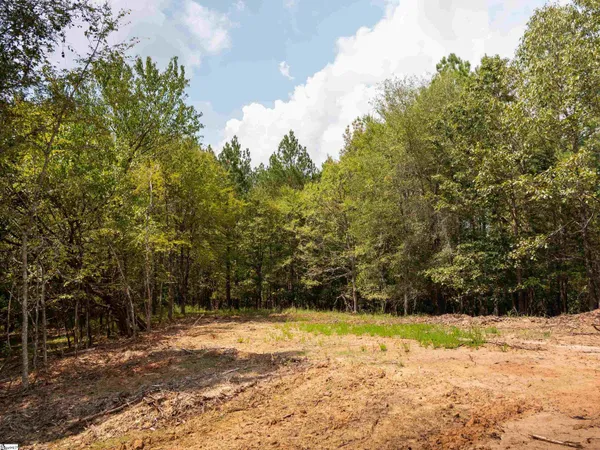 $40,000 | 1 Neal Shoals Road, Union, SC 29379