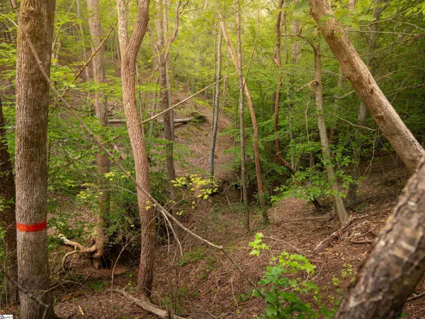 $40,000 | 1 Neal Shoals Road, Union, SC 29379