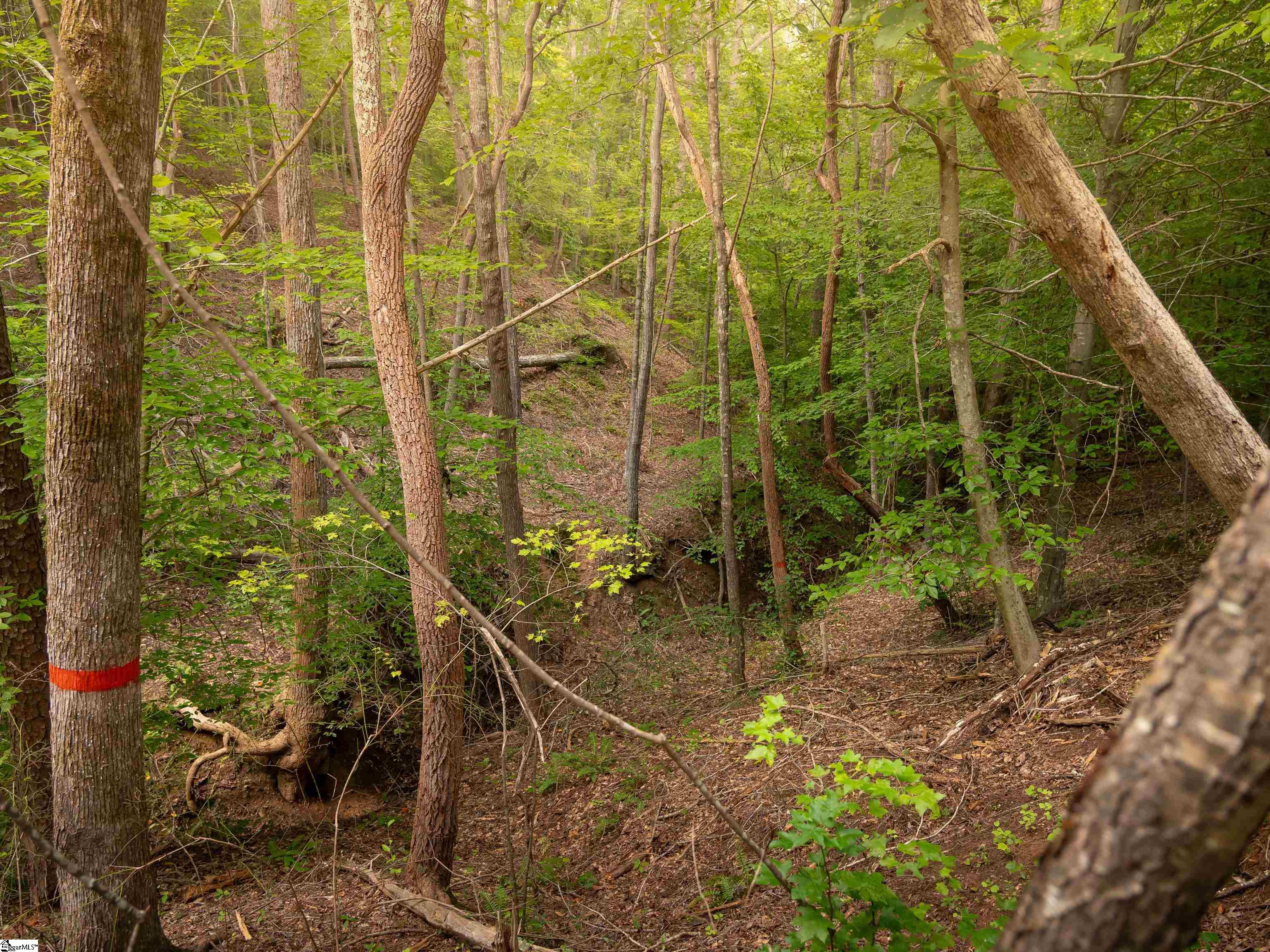 1 Neal Shoals Road Union, SC 29379 - Photo 42 of 43